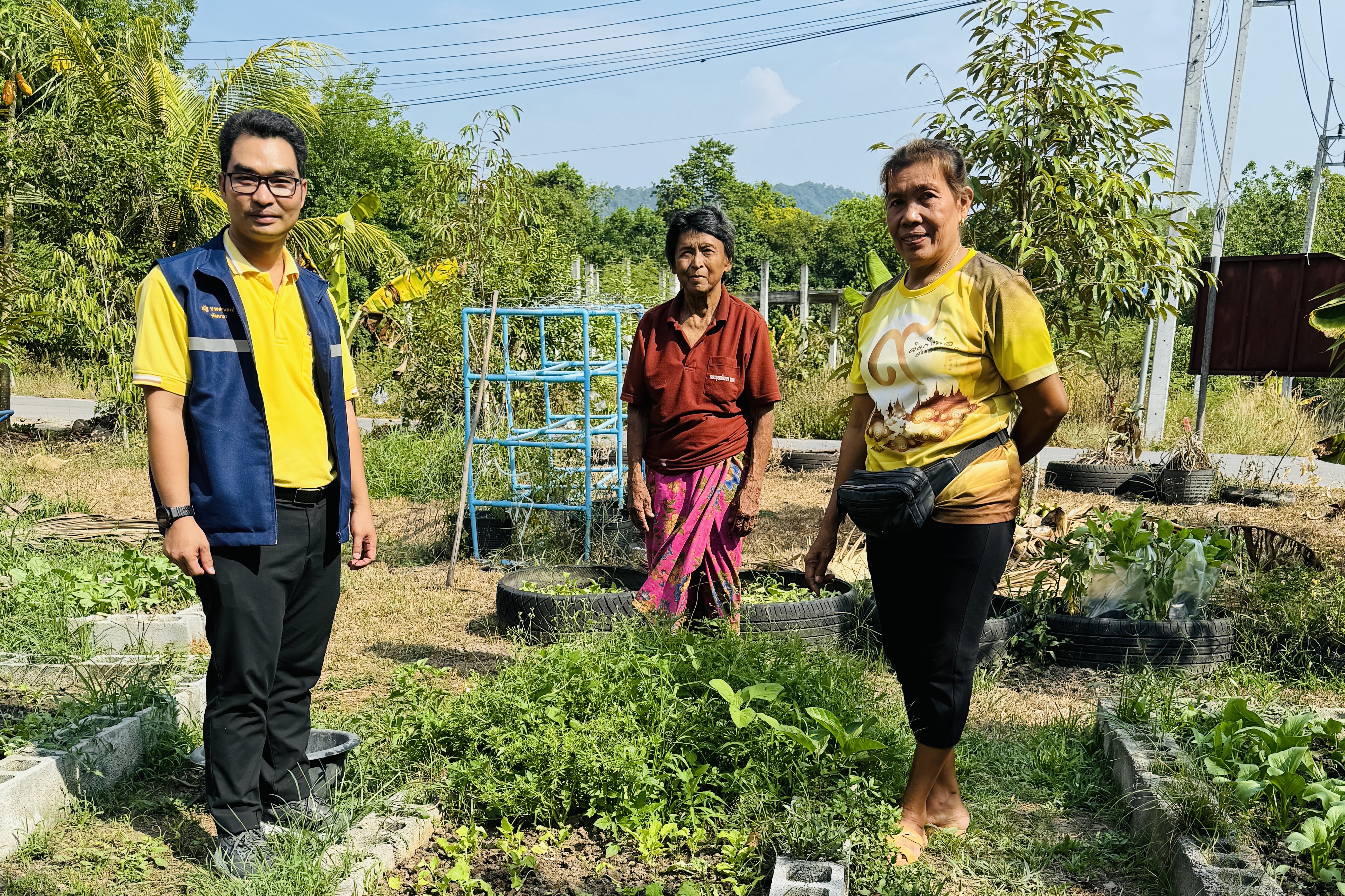 พช.นาหม่อม พัฒนากรชวนปลูกจัดกิจกรรมบ้านนี้มีรักปลูกผักกินเอง บ้านโคกทังหมู่ที่ 2 ตำบลพิจิตร